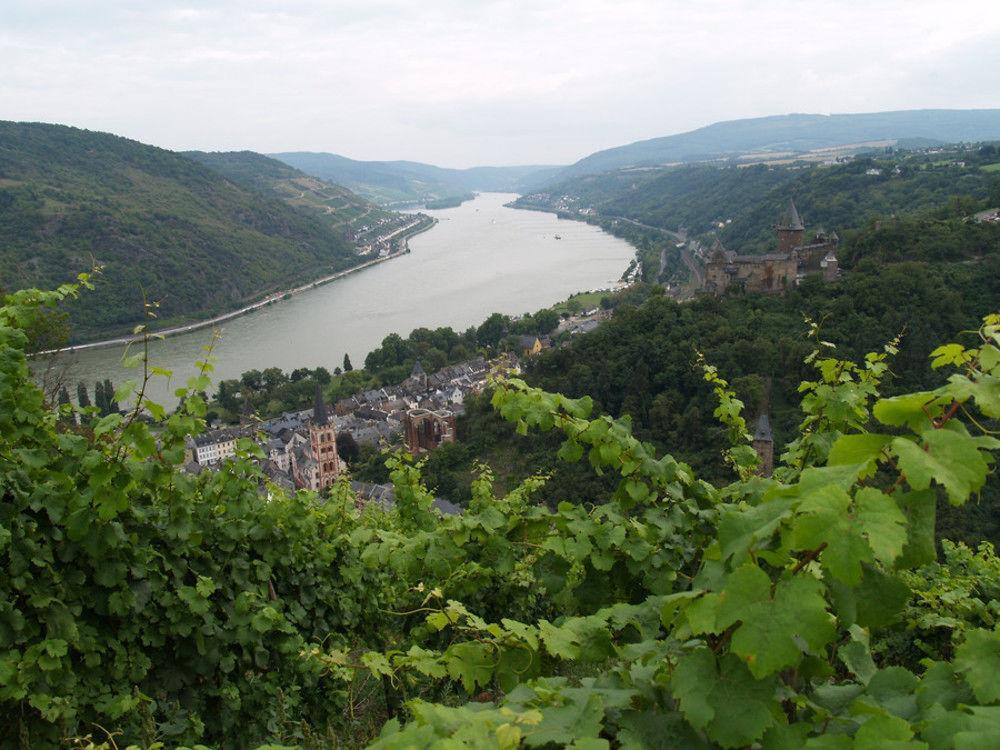 Landgasthaus Rosenhof Trechtingshausen المظهر الخارجي الصورة